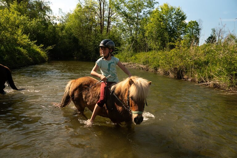 Reiten